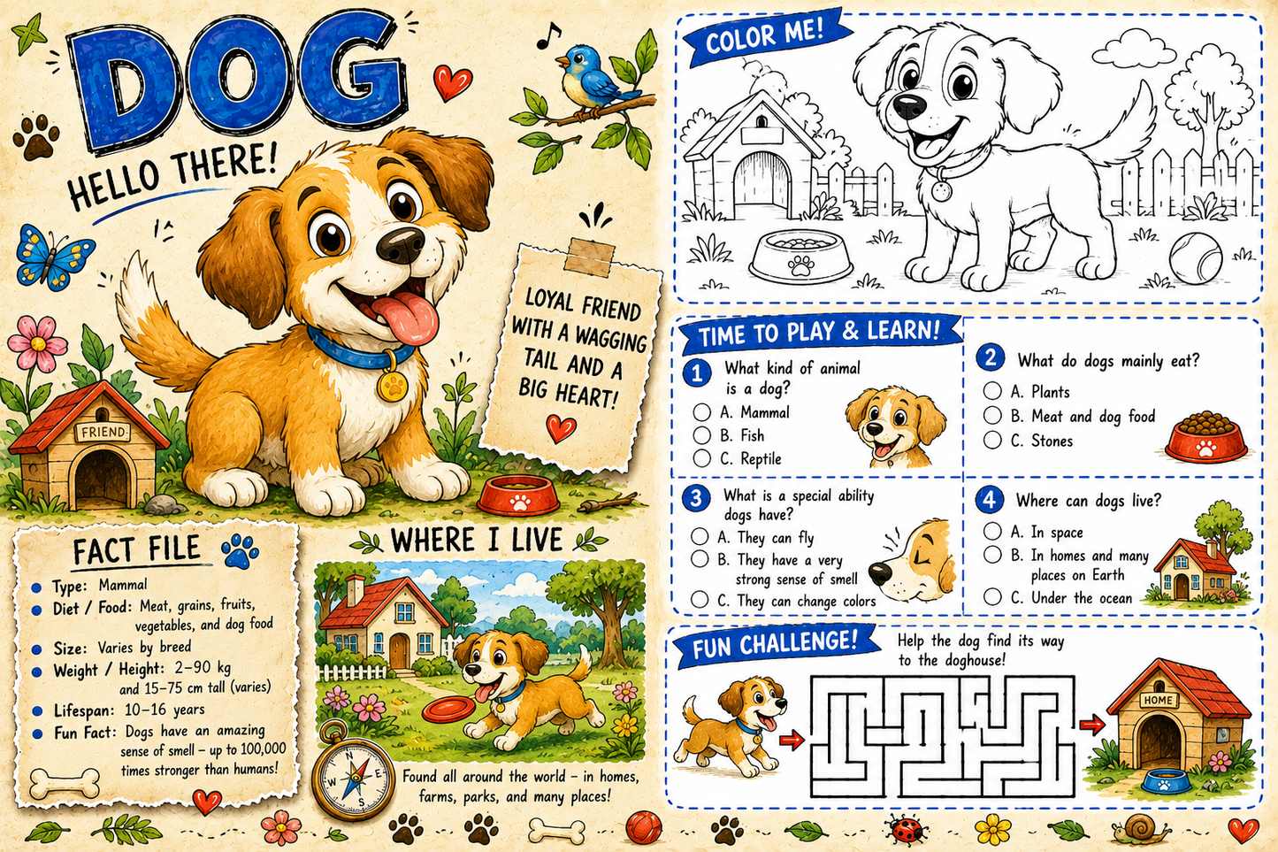 🐾 The Ultimate Book of Animals Activities: Learn, Color & Play! 🐱🐹